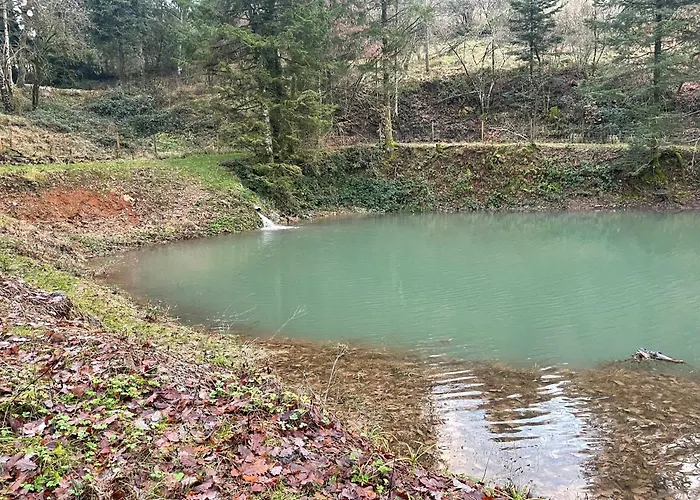 Chalet En Foret Avec Etang.