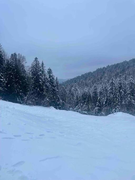 Hébergement de vacances En Foret Avec Etang. *