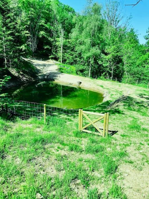 Hébergement de vacances En Foret Avec Etang. *