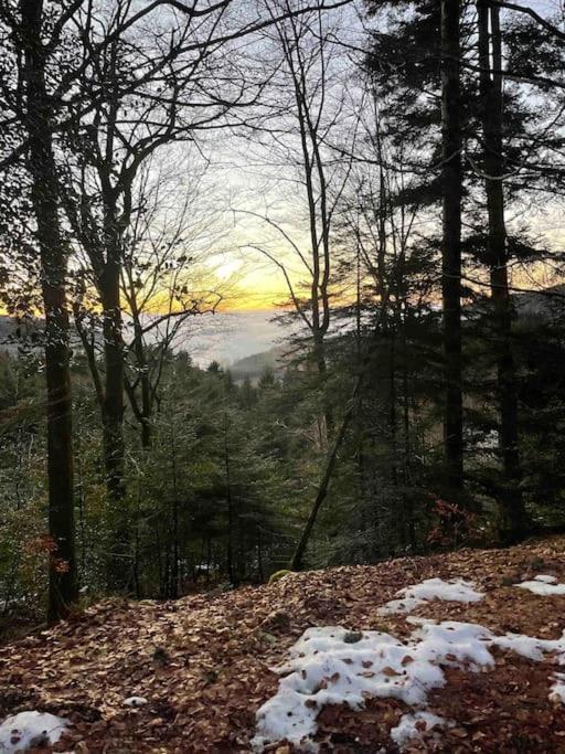 En Foret Avec Etang. Hébergement de vacances *