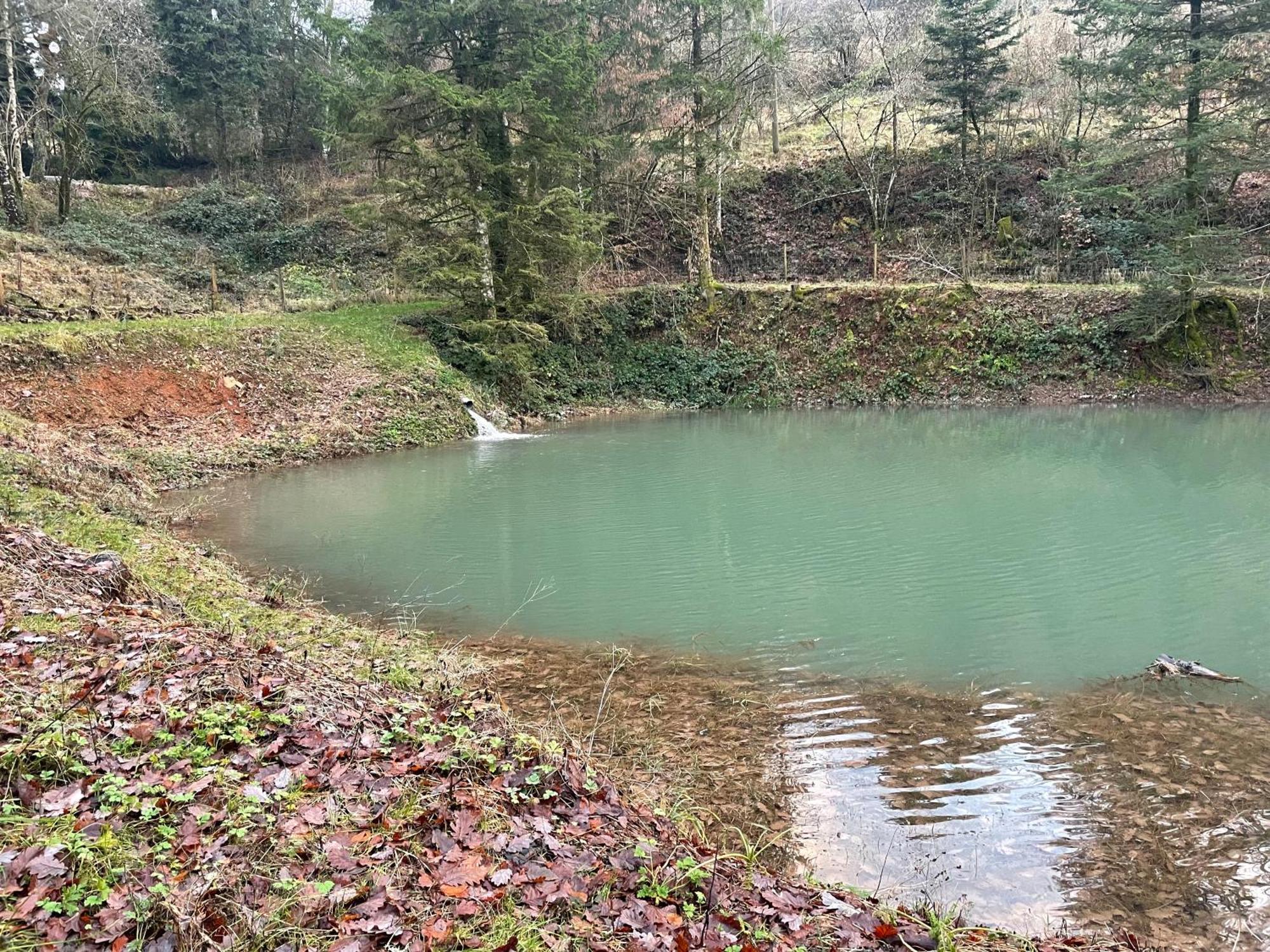 En Foret Avec Etang. Saint-Etienne-les-Remiremont