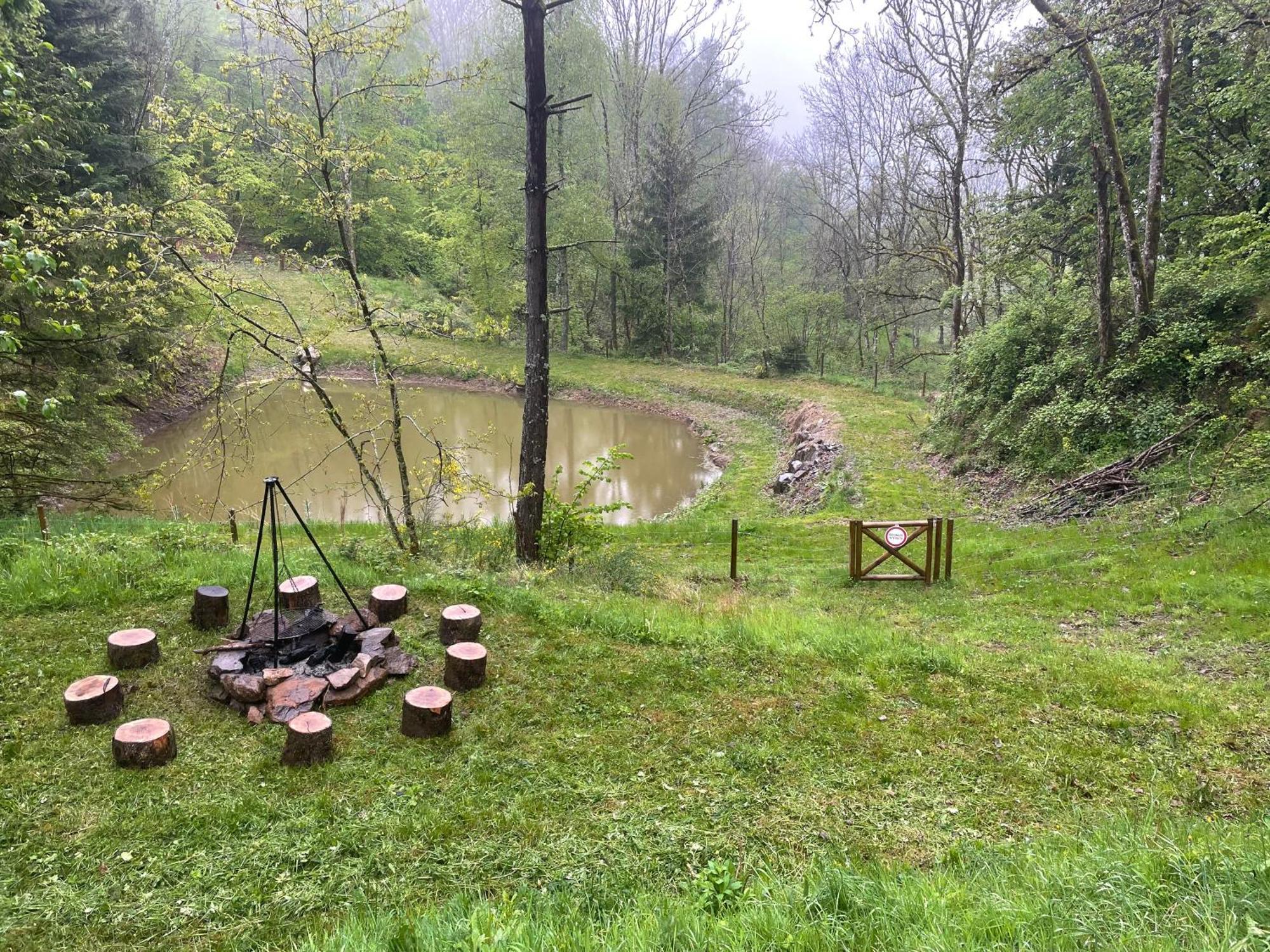 En Foret Avec Etang. * Saint-Etienne-les-Remiremont